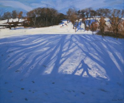 Schatten des Schlittens von Andrew Macara